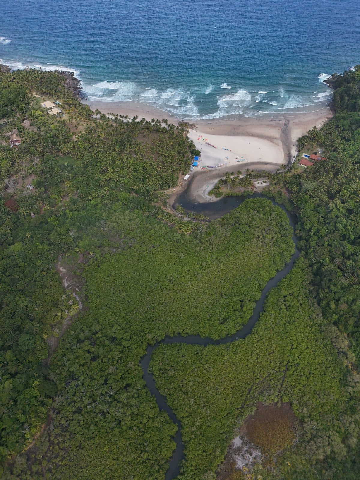 Curva do mangue · Jeribucaçu, Itacaré, BA