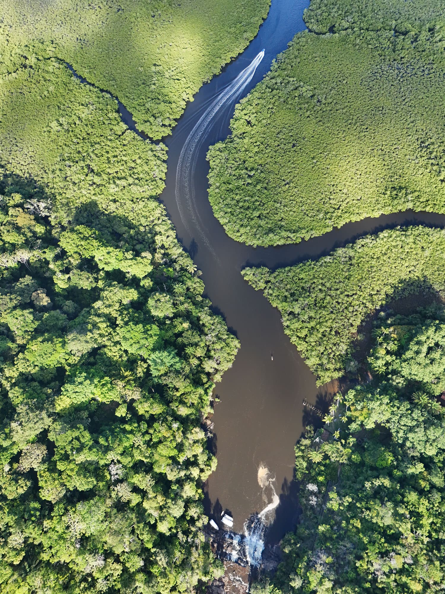 Rio na mata